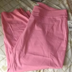 NWT Crown & Ivy hot pink pants